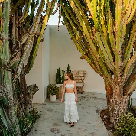 Ξενοδοχείο Boutique Eco Costa Magica 4*