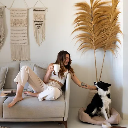 فندق Boutique Eco Costa Magica لا لاغونا