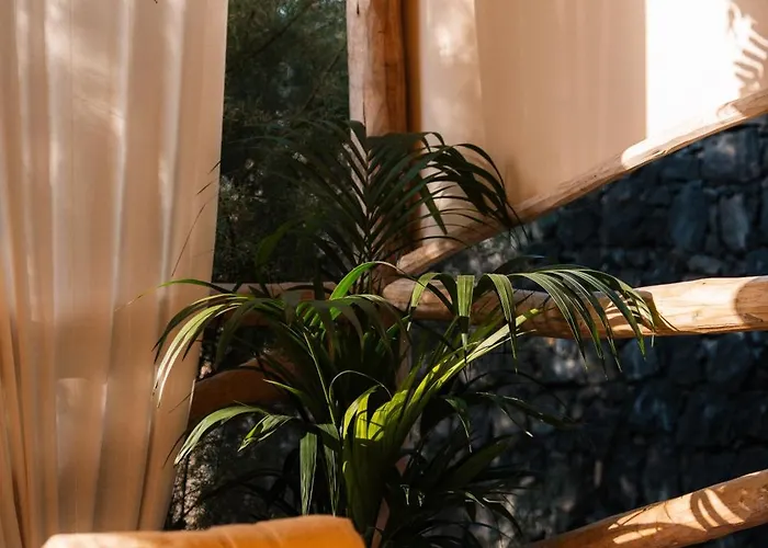 Boutique Eco Costa Magica