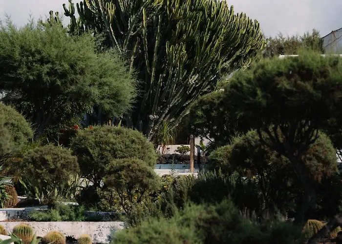 Hotel Boutique Eco Costa Magica La Laguna (Tenerife)